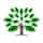 Green Tree