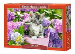 Castorland Puzzle Kitten v košari 1500 kosov