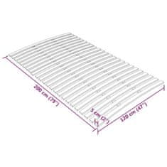 Greatstore Letveno dno za posteljo 24 letvic 120x200 cm