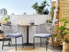 Beliani Komplet 2 aluminijastih vrtnih stolov sive barve PALMI