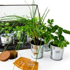 Radis et Capucine Rastlinjak za gojenje ekoloških aromatičnih zelišč, kovinski