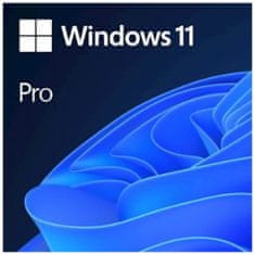 Microsoft Windows Pro 11 FPP programska oprema, slovenska, USB (HAV-00146)
