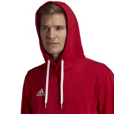 Adidas Športni puloverji 182 - 187 cm/XL Entrada 22
