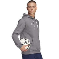 Adidas Športni pulover 170 - 175 cm/M Entrada 22