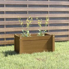 Vidaxl Vrtno cvetlično korito medeno rjavo 60x31x31 cm trdna borovina