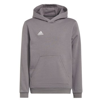 Adidas Športni puloverji Entrada 22 Hoody