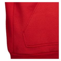 Adidas Športni pulover 135 - 140 cm/S Entrada 22