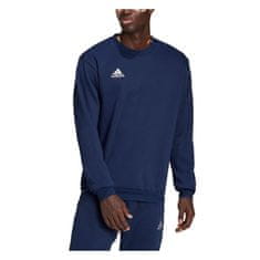 Adidas Športni pulover 170 - 175 cm/M Entrada 22 Sweat Top