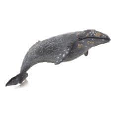 Mojo Whale siva