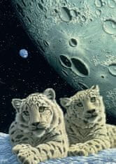 Grafika Puzzle Snow Leopards' Den 2000 kosov