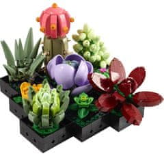 LEGO Botanicals 10309 Sukulente