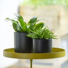 Vidaxl Esschert Design Pladenj za rastline z nastavkom, okrogel, zlat, velikost L