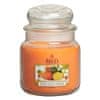 SREDNJA KOZARNA SVEČKA CITRUSI | SICILSKI CITRUS, SREDNJA KOZARNA SVEČKA CITRUSI | SICILSKI CITRUS