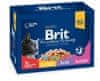 Brit Premium mokra hrana za mačke, družinski izbor, 100 g, 12 kos