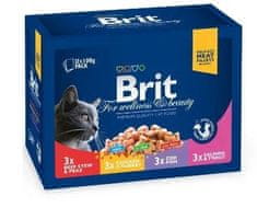 Premium mokra hrana za mačke, družinski izbor, 100 g, 12 kos