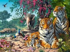 Castorland Puzzle Zavetišče tigrov 3000 kosov