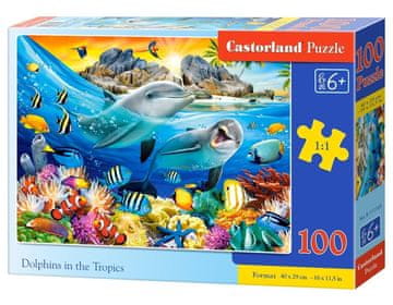 Castorland Puzzle Delfini v tropih 100 kosov