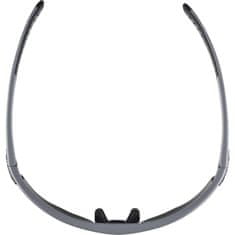 Alpina Sports Tri-Scray 2.0 HR športna očala, siva