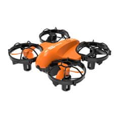 Xplore Dron Hawk X10 XP9602