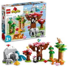 LEGO DUPLO 10974 Divje živali Azije