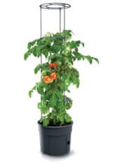 Prosperplast TOMATO GROWER sadilnik za paradižnik 29,5 cm antracit