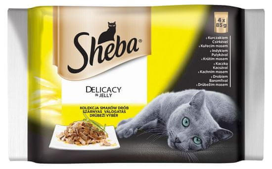 Sheba hrana za odrasle mačke Delicacy in Jelly, perutninska mešanica, 13 x (4 x 85 g)