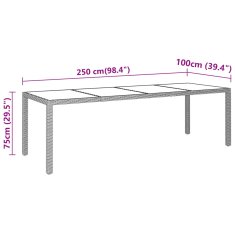 Vidaxl Vrtna miza 250x100x75 cm kaljeno steklo in poli ratan črna