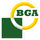 BGA