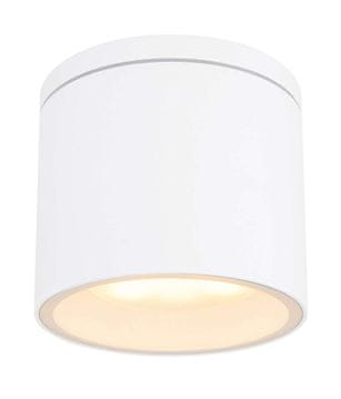 Globo Zunanja stropna svetilka Globo ALCALA 32063W