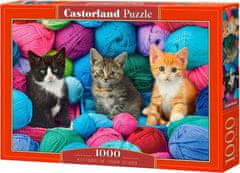Castorland Puzzle Mačke v trgovini s prejo 1000 kosov