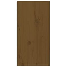 Vidaxl Stenska omarica 2 kosa medeno rjava 30x30x60 cm trdna borovina