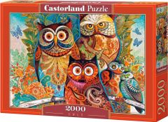 Castorland Puzzle Sove 2000 kosov
