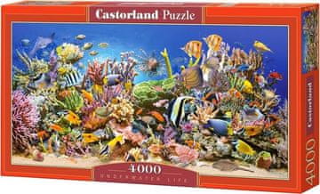 Castorland Puzzle Podvodno življenje 4000 kosov