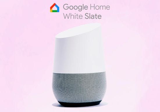 Google home white store slate