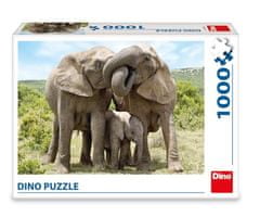Dino Slonja družina, 1000 kosov