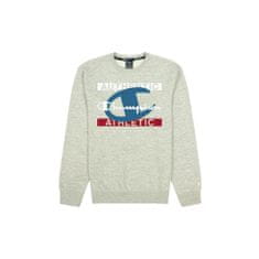 Champion Športni pulover 183 - 187 cm/L Crewneck Sweatshirt