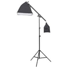 Vidaxl Komplet za foto studio z lučmi in ozadjem
