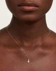 PDPAOLA Brezčasna pozlačena ogrlica ROBERT Gold CO01-412-U (verižica, obesek)