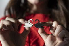 BeWooden broška White Swan Brooch iz lesa univerzalna