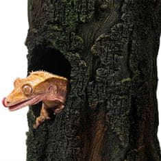 EBI TERRA DELLA skrivališče za terarijske živali 24,8x16,2x25,4cm