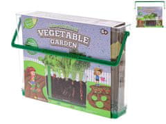 Mikro Trading Grow&decorate Vzgojite svoj vrt, 3 vrste sadik z zemljo, v prozorni škatli