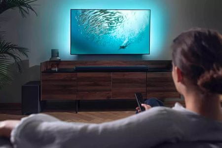 B95/10 Soundbar