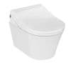 WASHLET RG With Hidden Connections + TOTO WC GP