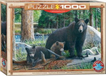 EuroGraphics Puzzle Nova odkritja 1000 kosov
