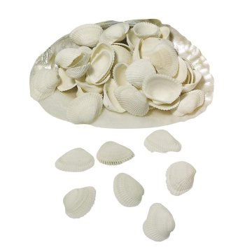 Rayher.	 Školjke 250g