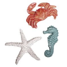 Rayher.	 Morski okraski, Morske živali, 4-6cm, 3 kos