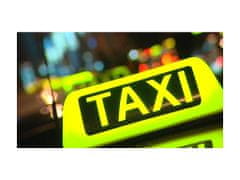 Alum online Taxi luč za streho avtomobila z magnetom, 12V - 35x15x12 cm