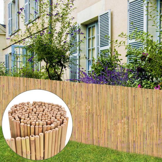 Vidaxl Ograja iz bambusa 300x100 cm