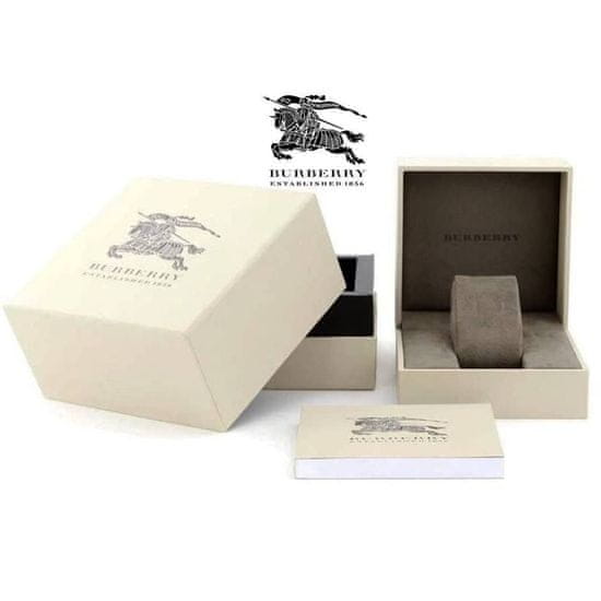Burberry bu9106 store