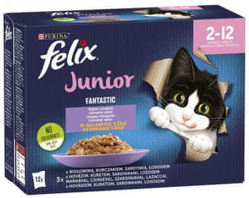 Felix FANTASTIC Junior multipack okusen izbor v želeju, 72×85 g